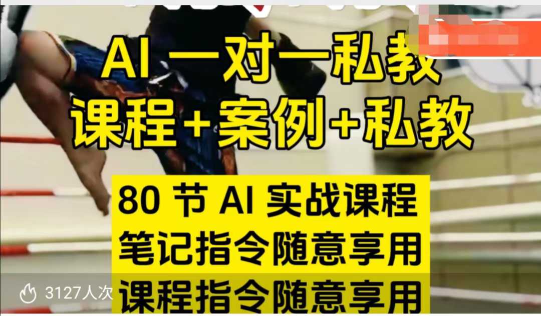 AI指令实战课，课程+案例，80节AI实战课程，笔记指令随意享用，课程指令随意享用-慧创网