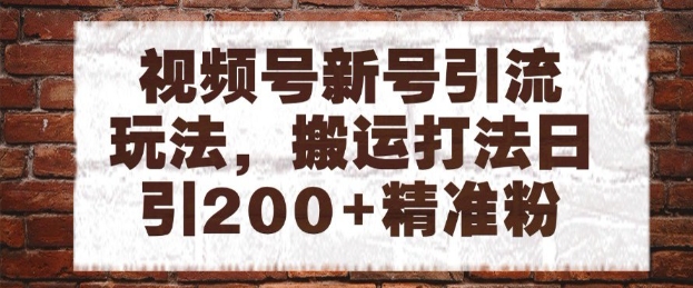 视频号新号引流玩法，搬运打法日引200+精准粉，可矩阵放大【揭秘】-慧创网