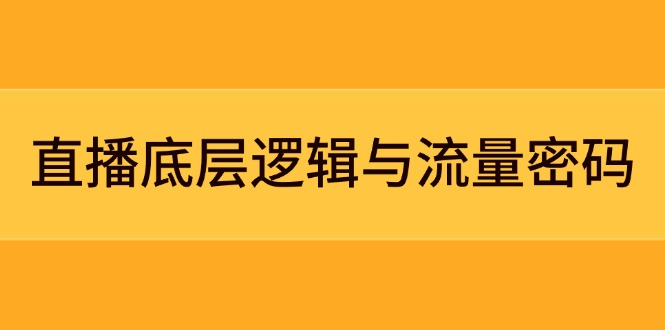 （14695期）直播底层逻辑与流量密码：定位模型+案例拆解，急速流承接与数据优化全攻略-慧创网