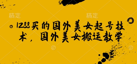 1288买的国外美女起号技术，国外美女搬运教学-慧创网