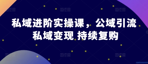 私域进阶实操课，公域引流 私域变现 持续复购-慧创网