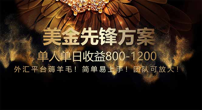 （14761期）免费技术！小众赛道！一年布局抵三年努力，每日800+-慧创网