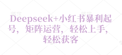 Deepseek+小红书暴利起号，矩阵运营，轻松上手，轻松获客-慧创网