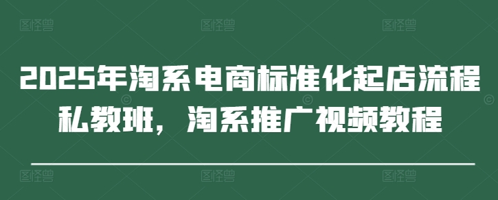2025年淘系电商标准化起店流程私教班，淘系推广视频教程-慧创网