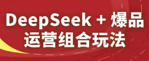 DeepSeek+爆品运营组合玩法，2025淘系精品课-慧创网
