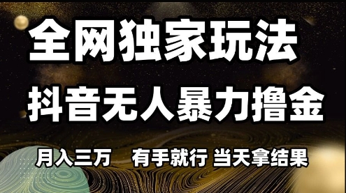 全网独家玩法抖音无人暴力撸金，月入3W，有手就行，当天拿结果【揭秘】-慧创网