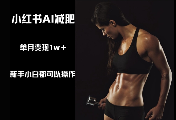 小红书AI减肥，新手小白都可以操作，单月变现1w+-慧创网