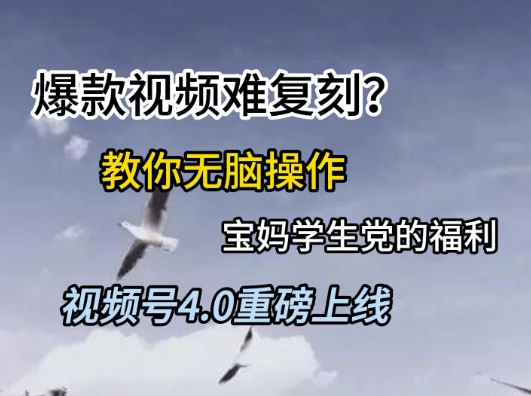 视频号4.0重磅上线，爆款视频难复刻？教你无脑操作宝妈学生党的福利【揭秘】-慧创网