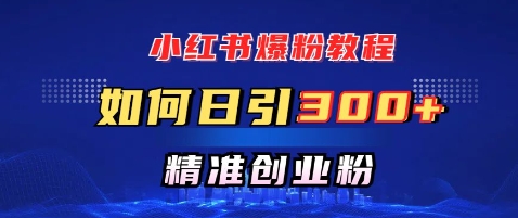小红书爆粉教程，如何日引300+创业粉，快速实现精准变现-慧创网
