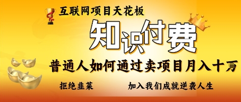 互联网项目天花板，知付付费项目，普通人如何通过卖项目月入十个，拒绝韭菜【揭秘】-慧创网