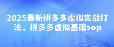 2025最新拼多多虚拟实战打法，拼多多虚拟基础sop-慧创网