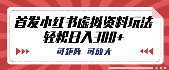 首发小红书虚拟资料玩法，可矩阵，可放大，轻松日入3张-慧创网