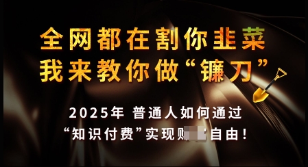 知识付费如何做到月入过W+，2025我来教你做“镰刀”【揭秘】-慧创网