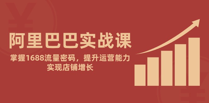（14830期）阿里巴巴实战课：掌握1688流量密码，提升运营能力，实现店铺增长-慧创网