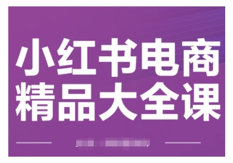 小红书电商精品大全课，快速掌握小红书运营技巧，实现精准引流与爆单目标，轻松玩转小红书电商-慧创网