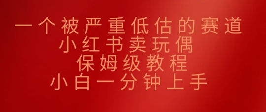 一个被严重低估的赛道，小红书卖玩偶，保姆级教程，小白一分钟上手-慧创网