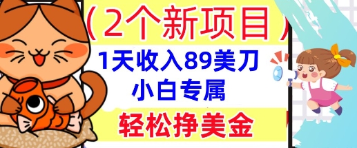 2个新项目，轻松挣美金， 1天收入89美刀，小白专属，干货分享-慧创网