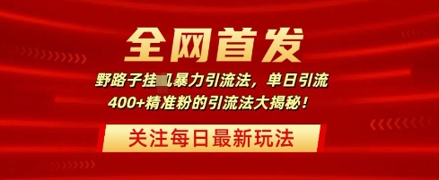 全网首发，野路子暴力引流法，单日引流400+精准粉的引流法大揭秘-慧创网