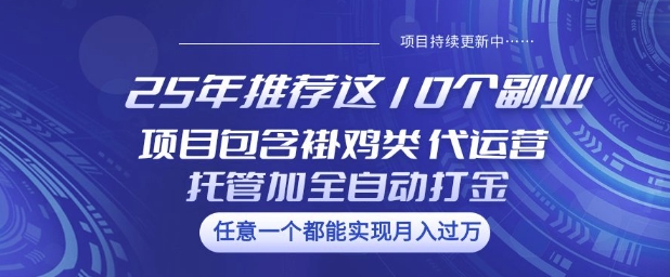 25年推荐这10个副业项目包含褂鸡类、代运营托管类、全自动打金类【揭秘】-慧创网