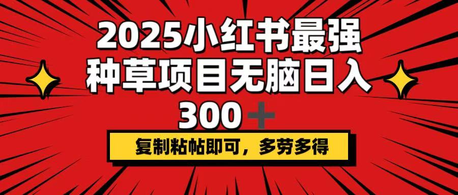 （14375期）2025小红书最强种草项目，无脑日入300+，复制粘帖即可，多劳多得-慧创网