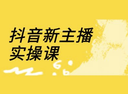 抖音新主播实操课，直播间流量运营线上实操课(18节)-慧创网