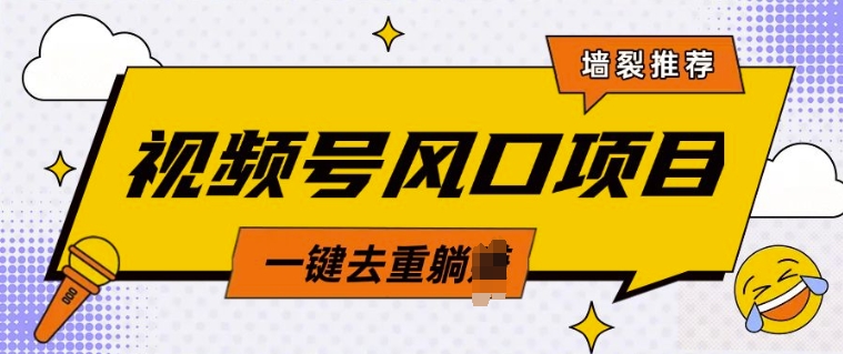 视频号风口蓝海项目，中老年人的流量密码，简单无脑，一键去重，轻松月入过W-慧创网