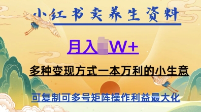 在小红书上卖养生资料，月入1w+，多种变现方式一本万利的小生意-慧创网