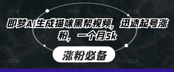 即梦AI生成猫咪黑帮视频，迅速起号涨粉，一个月5k-慧创网