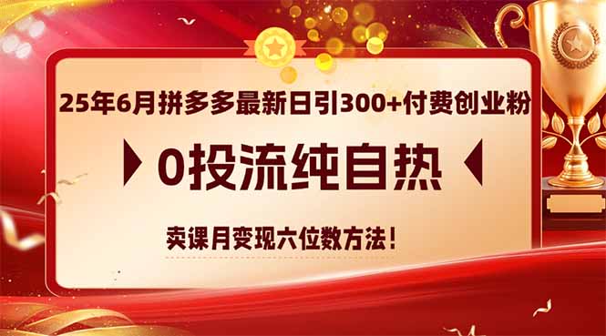 （14989期）25年6月拼多多最新日引300+付费创业粉，0投流纯自热 卖课月变现六位数方法-慧创网