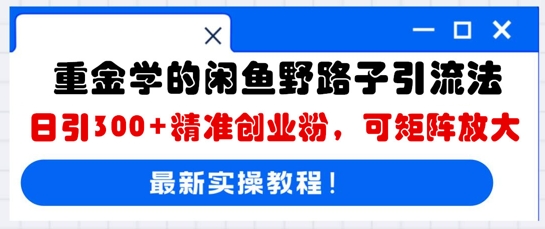 重金学的闲鱼野路子引流法，日引300+精准创业粉，可矩阵放大-慧创网