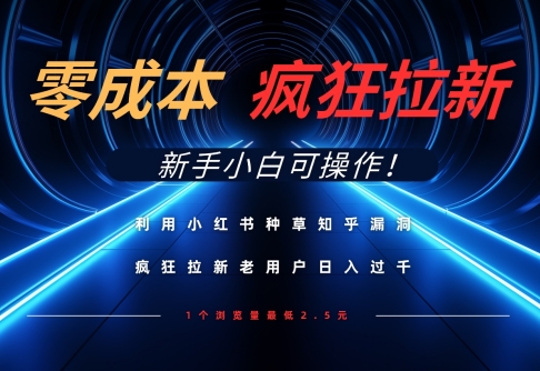 利用小红书种草知乎漏洞，零成本疯狂拉新日入数张，新手小白可操作-慧创网