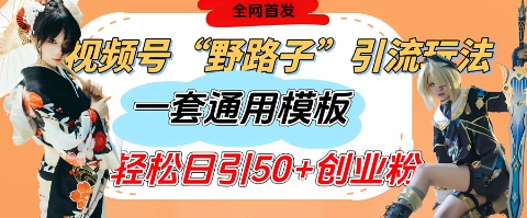 视频号“野路子”玩法，评论区疯狂截流，一套模板单日单号引流50+创业粉-慧创网