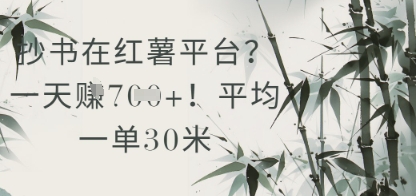 抄书在小红薯平台？平均一单30米，一天收益几张！-慧创网