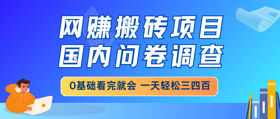 （14578期）网赚搬砖项目，国内问卷调查，0基础看完就会 一天轻松三四百，靠谱副业…-慧创网