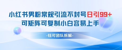 小红书男粉常规引流不封号日引99+变现简单 可矩阵可复制小白容易上手-慧创网