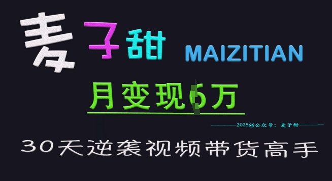 麦子甜30天逆袭视频带货高手，单月变现6W加特训营-慧创网