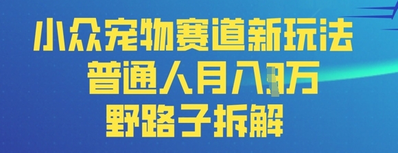 小众宠物赛道新玩法，普通人月入过1W的野路子拆解-慧创网