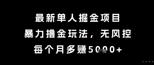 最新单人掘金项目，暴力撸金玩法，无风控，每个月多挣5k+【揭秘】-慧创网