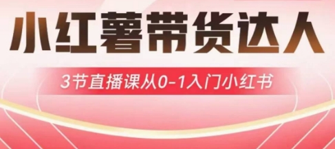 小红薯达人带货启航计划，3节直播课从0-1入门小红书-慧创网