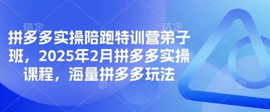 拼多多实操陪跑特训营弟子班，2025年2月拼多多实操课程，海量拼多多玩法-慧创网