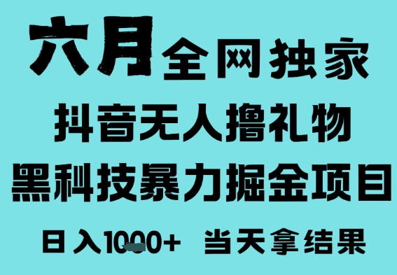 25年6月高爆抖音无人直播最新撸音浪掘金项目，门槛低小白可做，无脑日入1k，可矩阵放大【揭秘】-慧创网
