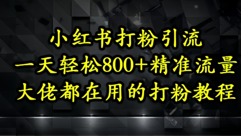 小红书打粉引流，一天轻松500+精准流量，大佬都在用的打粉教程-慧创网