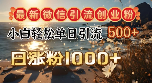 最新微信引流创业粉，小白单日轻松引流500+，日涨粉1000+-慧创网