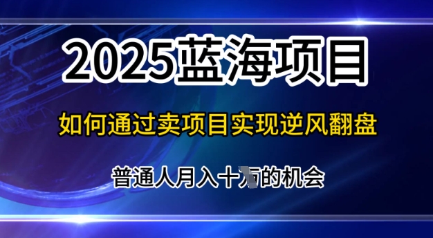 2025蓝海项目，普通人如何通过卖项目实现逆风翻盘，月入10个【揭秘】-慧创网