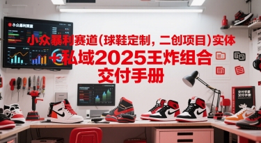 小众暴利赛道(球鞋定制，二创项目)实体+私域2025王炸组合  交付手册-慧创网