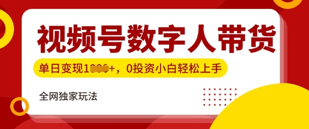最新视频号数学人带货实操玩法，新手单日轻松多张，全程干货-慧创网