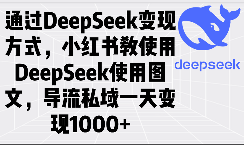 （14179期）通过DeepSeek变现方式，小红书教使用DeepSeek图文，导流私域一天变现1000+-慧创网
