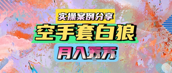 空手套白狼，月入过1W，实操案例分享-慧创网