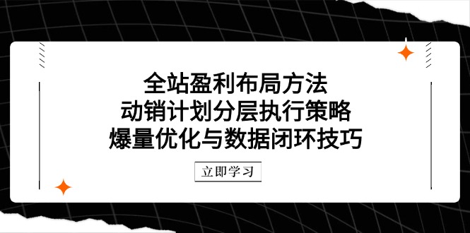 （14698期）全站盈利布局方法：动销计划分层执行策略，爆量优化与数据闭环技巧-慧创网