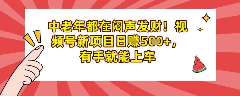 中老年都在闷声发财，视频号新项目日入多张，有手就能上车-慧创网